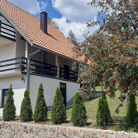 Kuca Sa Pogledom Na Tornik Villa Zlatibor Buitenkant foto